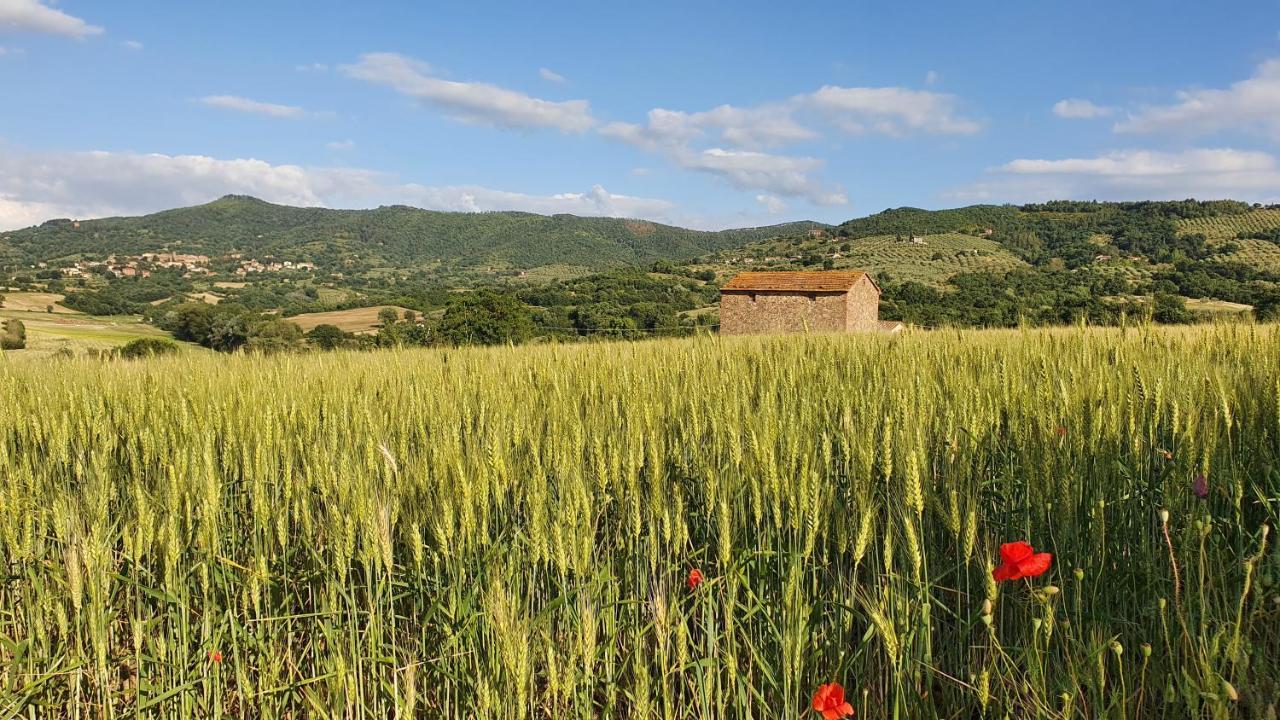Vacanze Sant Andrea Paciano Exteriör bild