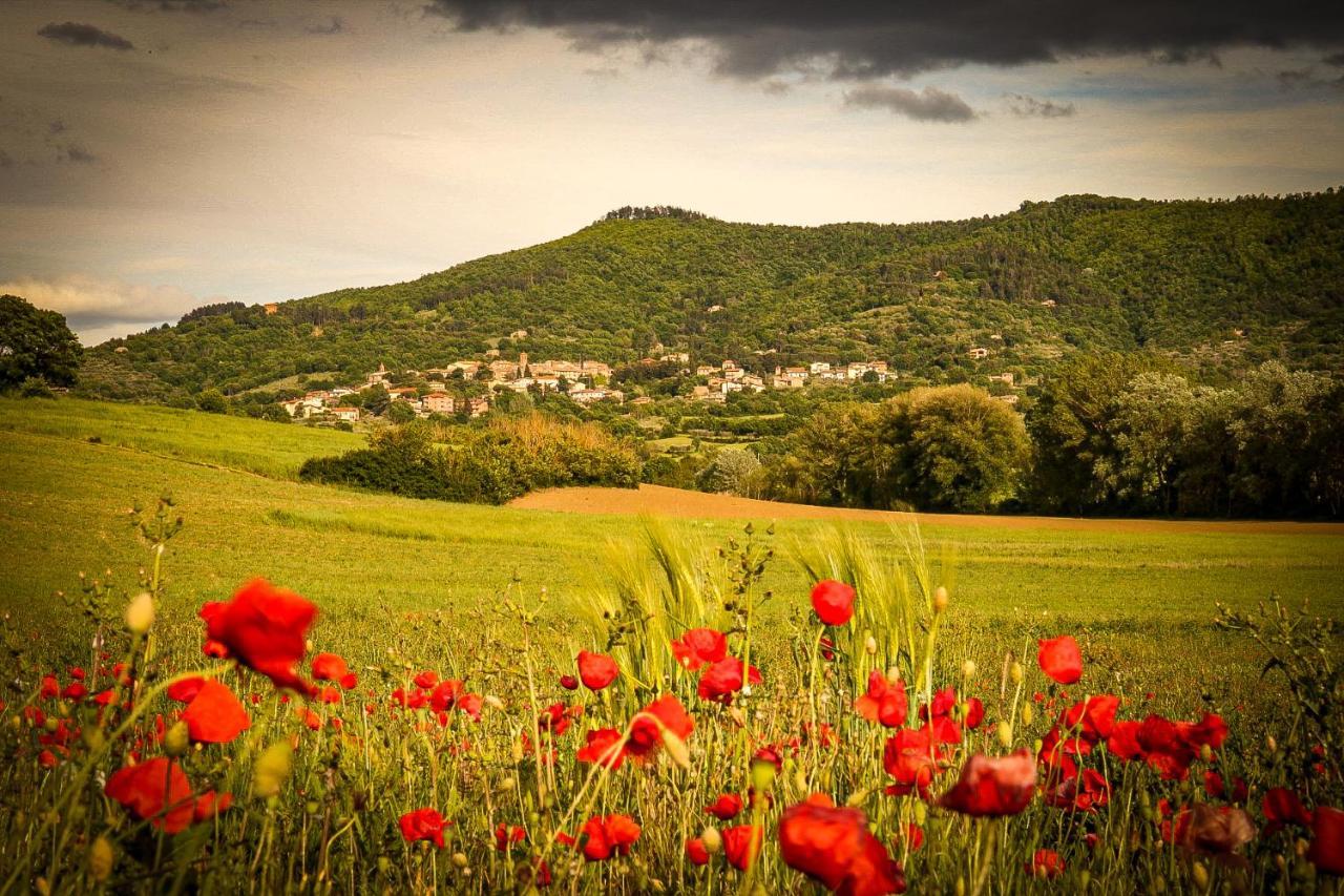 Vacanze Sant Andrea Paciano Exteriör bild